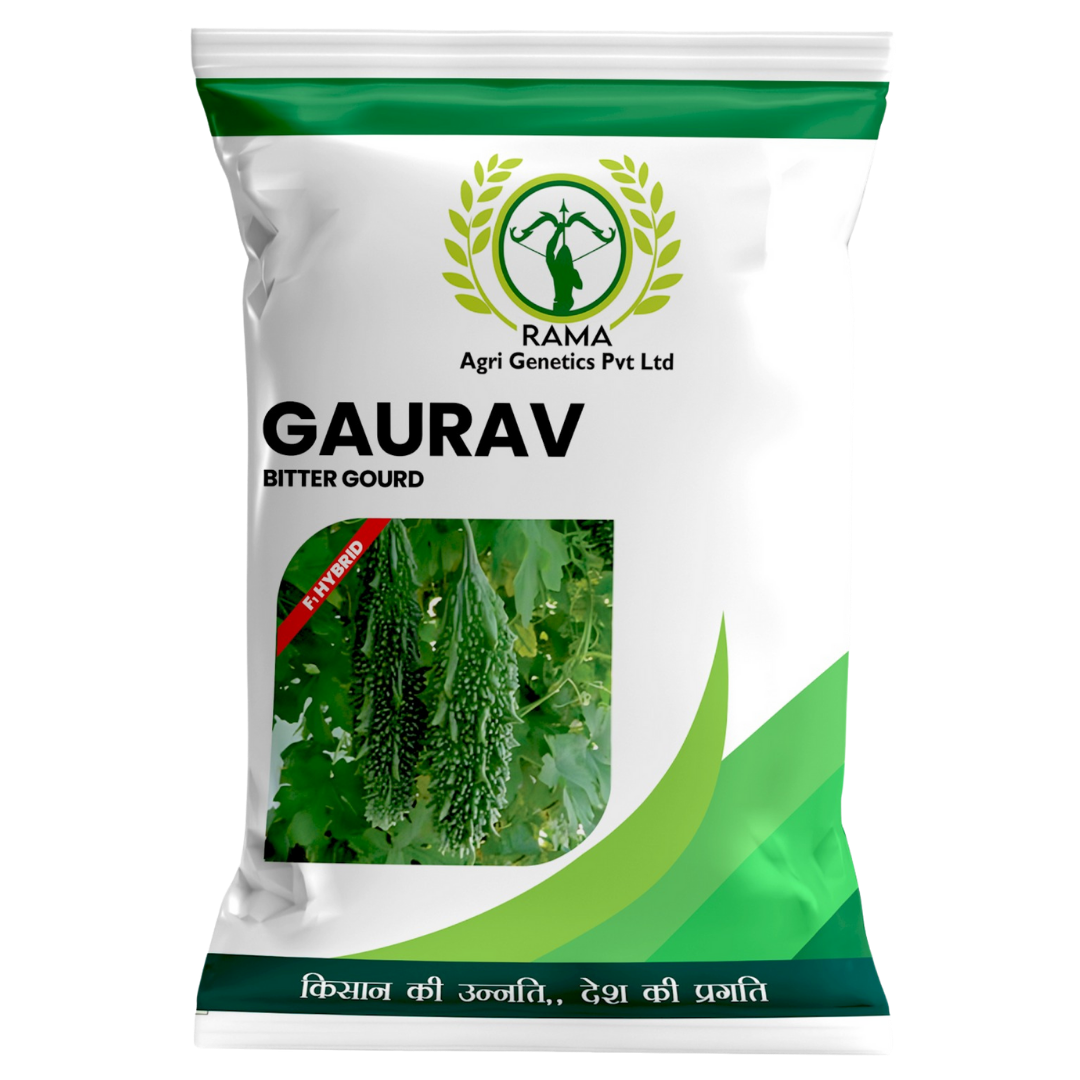 GAURAV