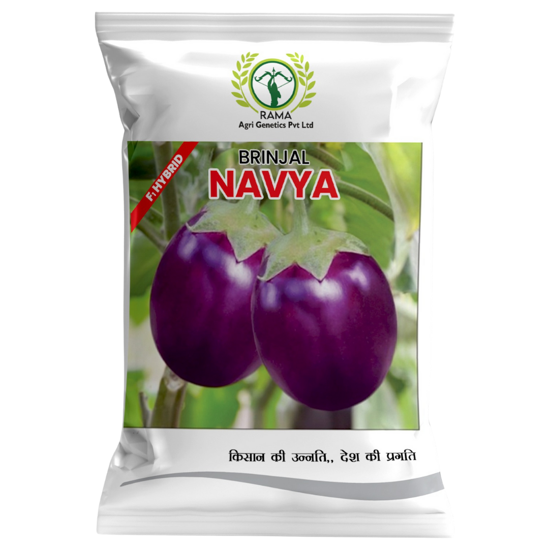 NAVYA