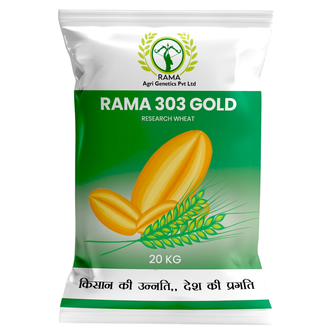 RAMA 303 GOLD