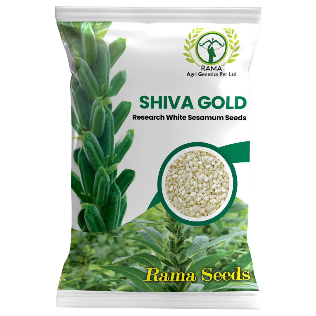 SHIVA GOLD