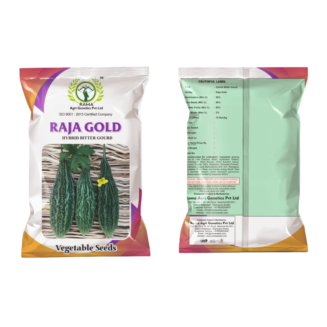 Raja Gold